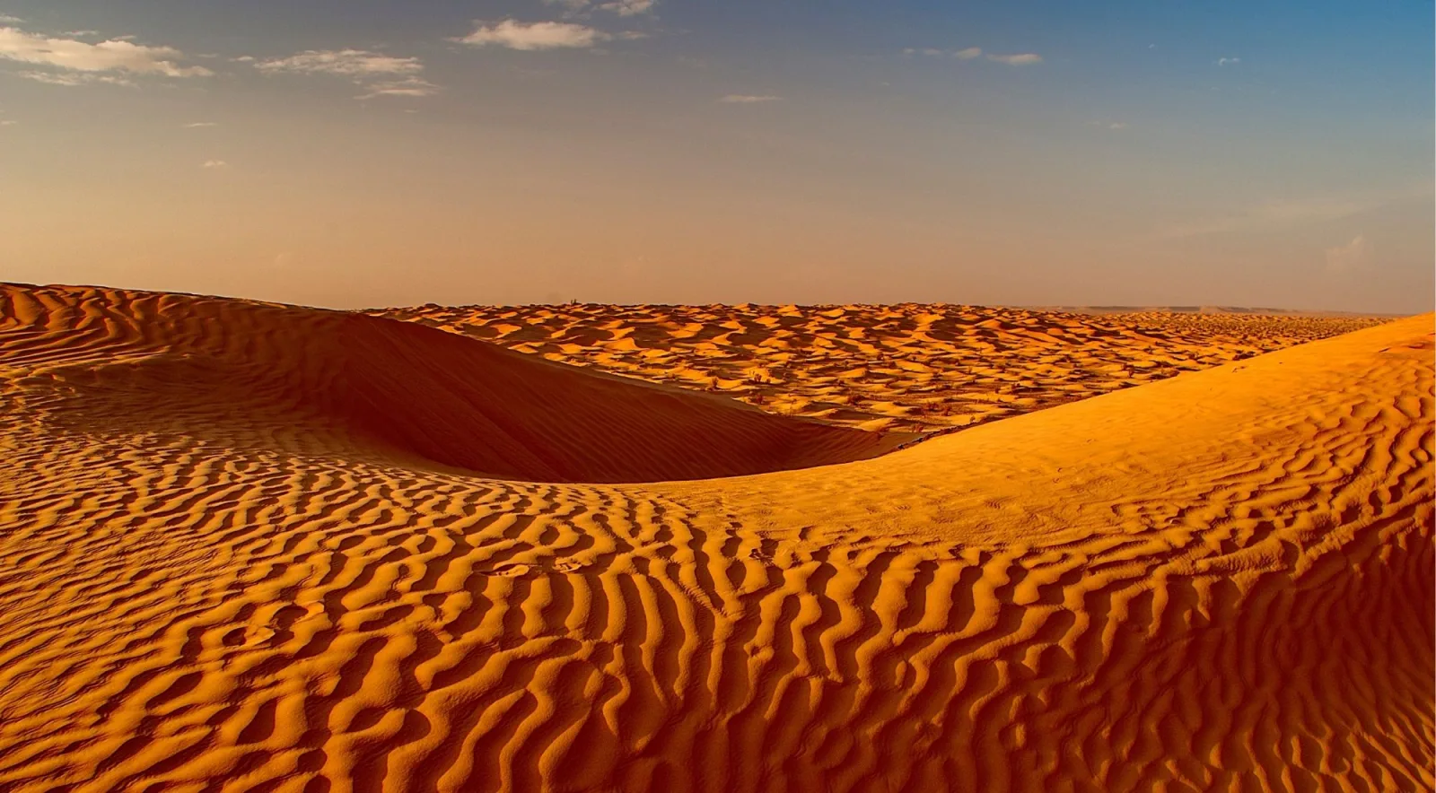 A high rippled dune ridge in orange sand under a pale sky