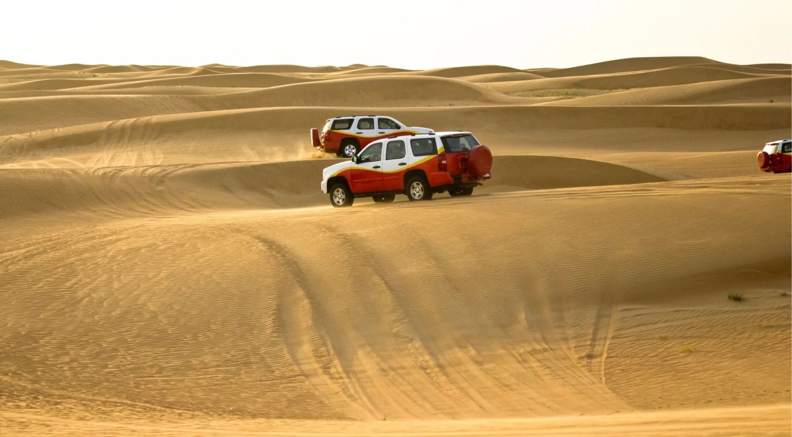 Two white 4x4 vehicles crossing a wide dune field in southern Tunisia
