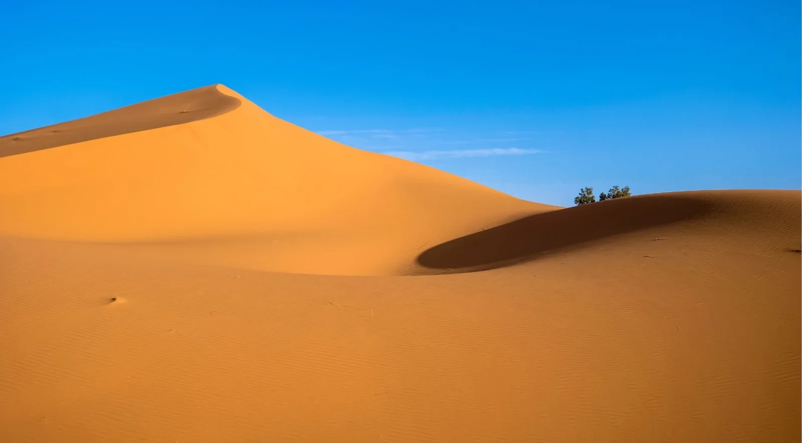 A steep sand dune rising against a deep blue sky