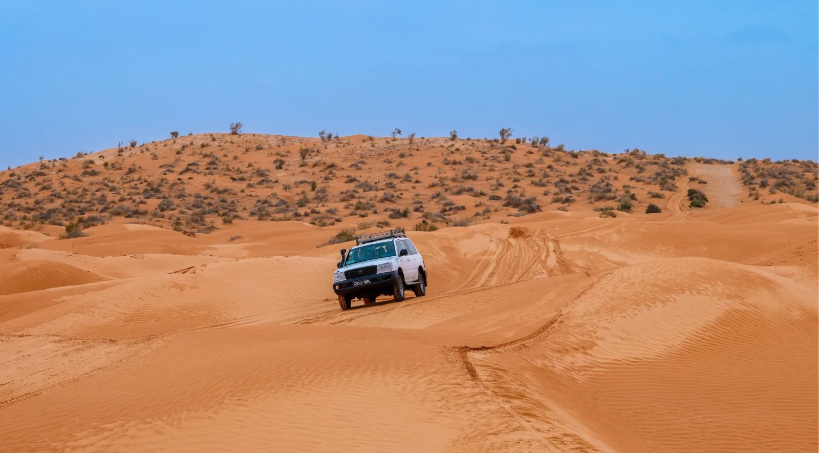A 4x4 parked on a scrubby dune with its tracks running back across the sand