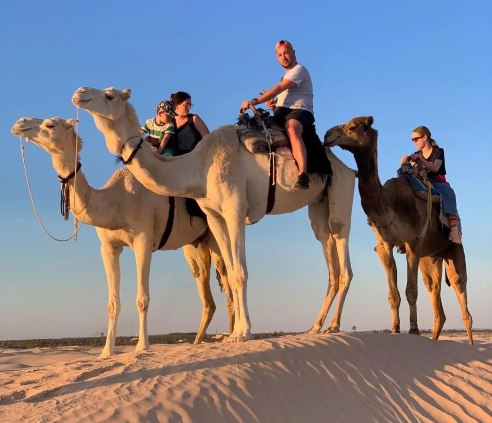 A group on camels on the dunes at Ksar Ghilane