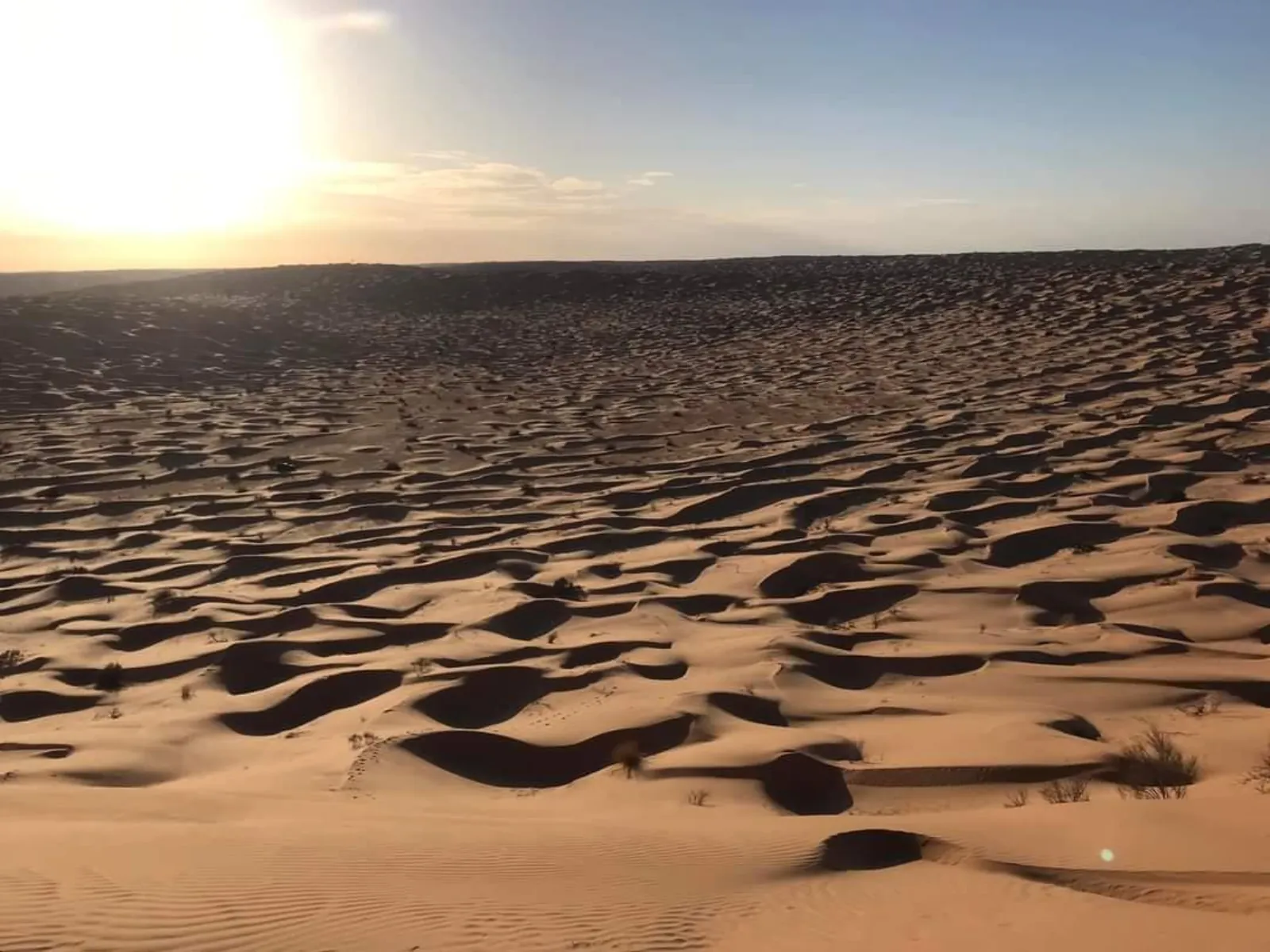 Wind-rippled dunes running to the horizon