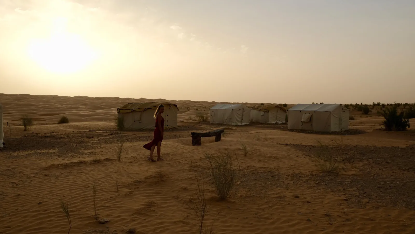 Tents at a permanent desert camp on the sand at dusk