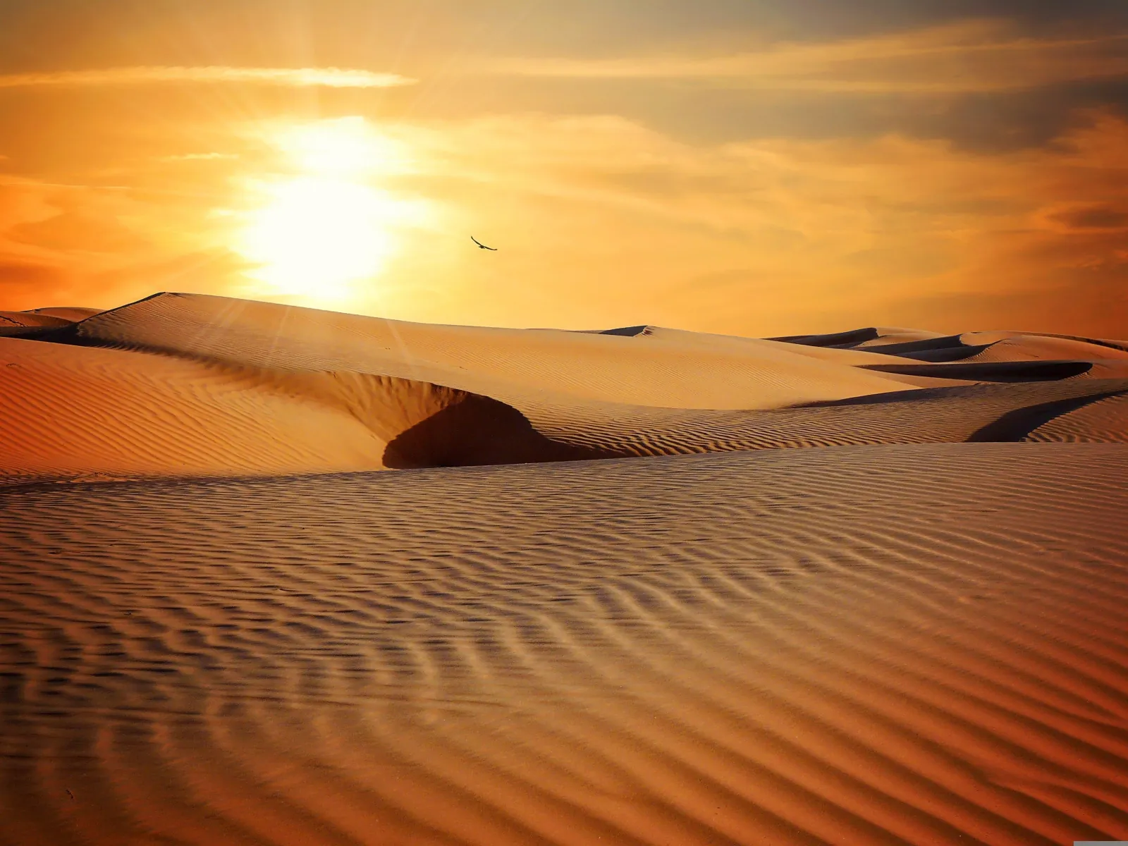 Low sun raking the dune crests at the end of the day