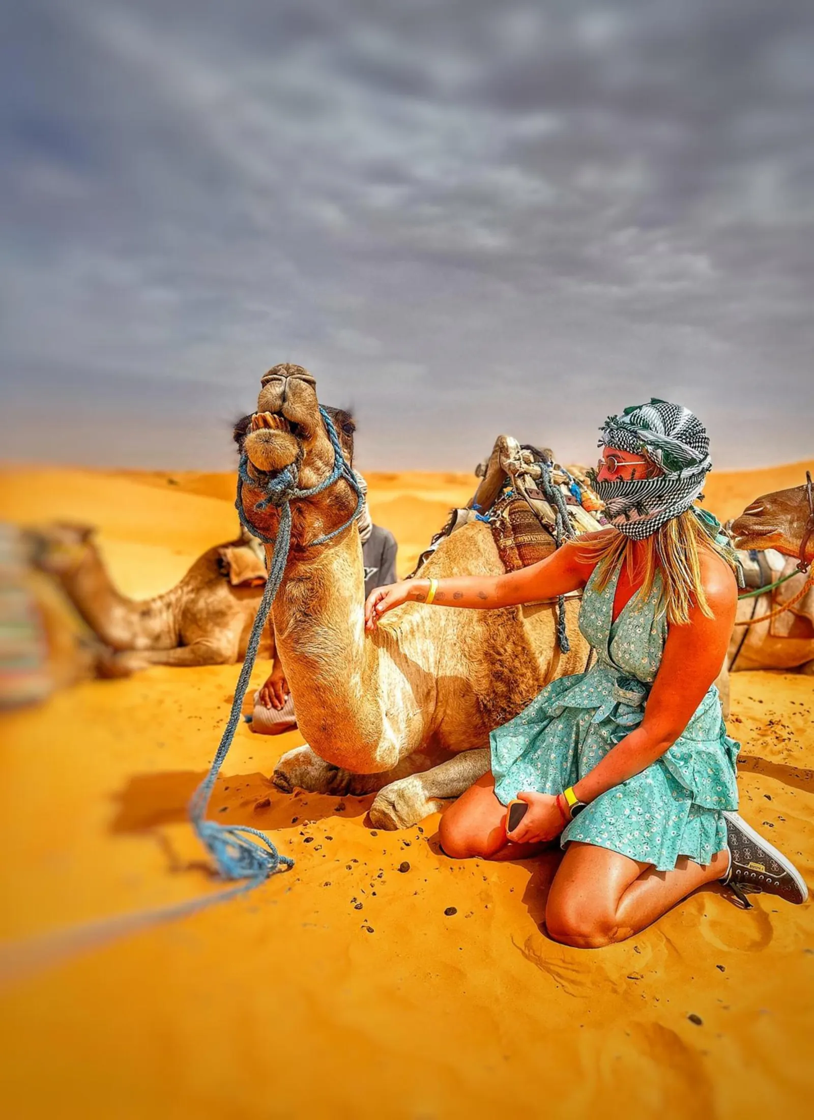 A visitor with resting camels on the dunes at Ksar Ghilane